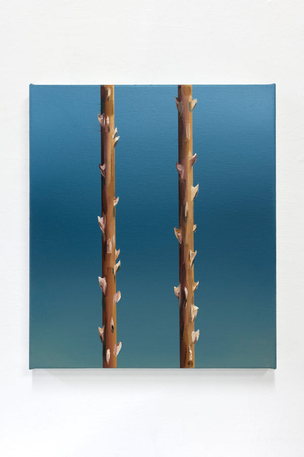 A rose is a rose is a rose X