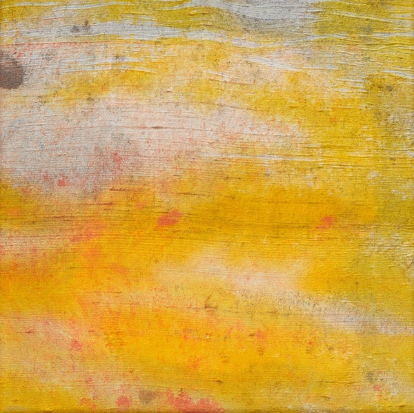 Dreambox #2