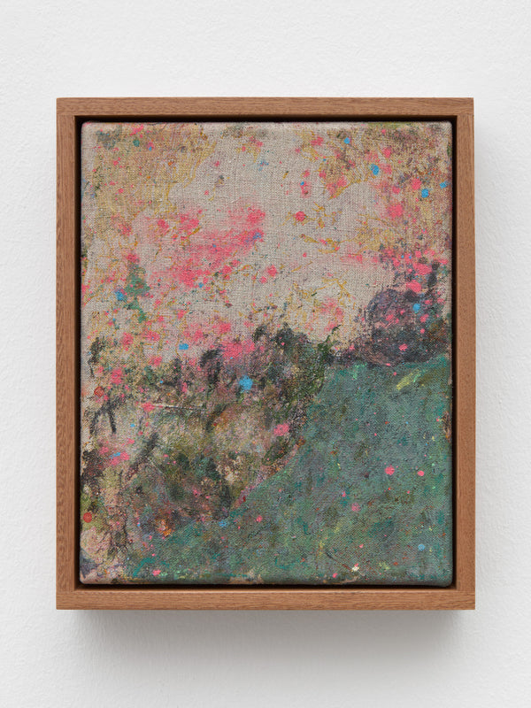 Dreambox #9