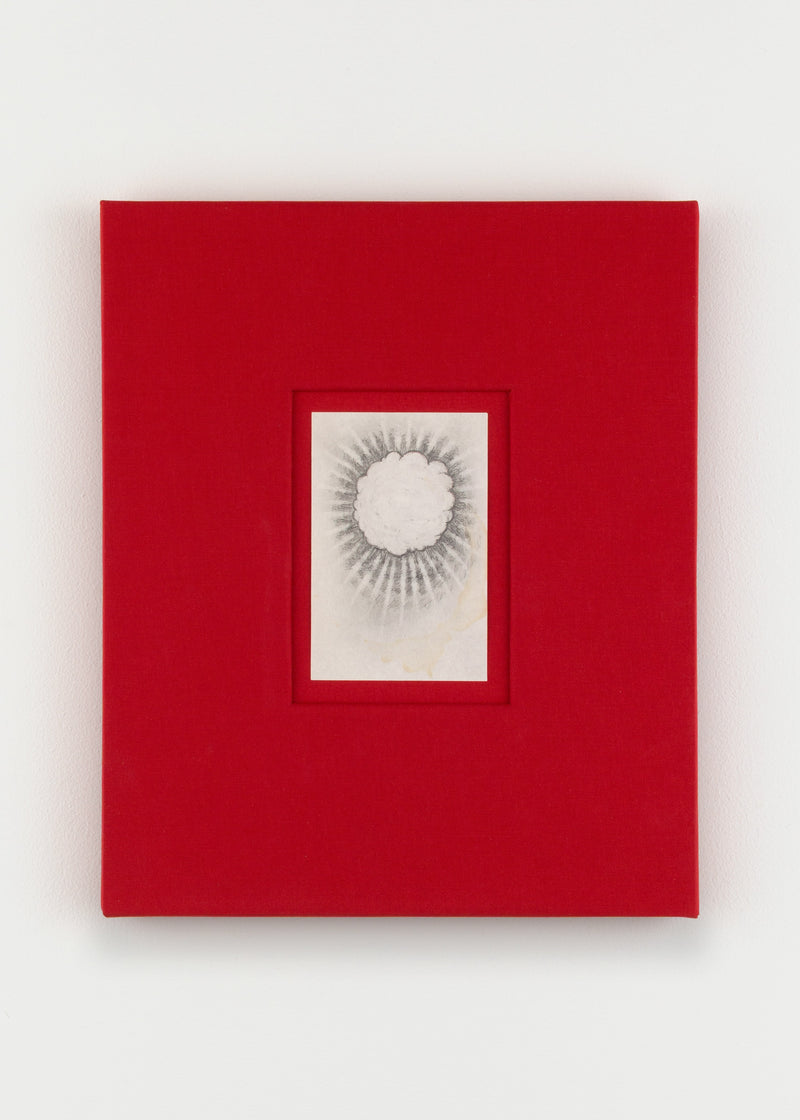 Rosicrucian Drawing V